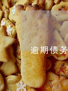 逾期债务贷方 逾期债务贷方