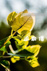 逾期债务转让最新规定 逾期债务转让最新规定