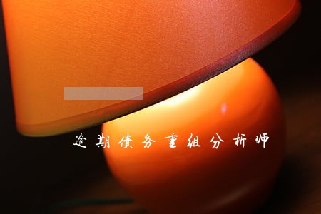 逾期债务重组分析师 逾期债务重组分析师