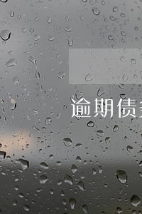 逾期债务重组实施方案