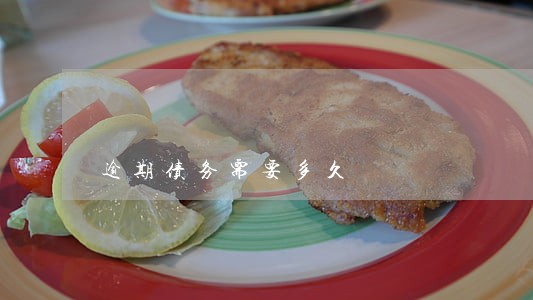 逾期债务需要多久 逾期债务需要多久