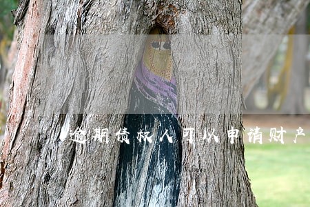 逾期债权人可以申请财产保全 逾期债权人可以申请财产保全
