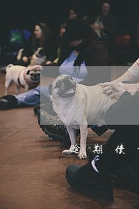 逾期债权什么时候申报 逾期债权什么时候申报