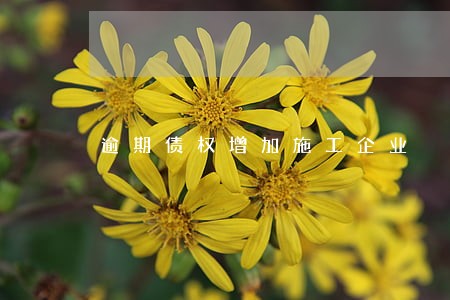 逾期债权增加施工企业 逾期债权增加施工企业