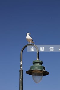 逾期债权如何计算执行金额 逾期债权如何计算执行金额