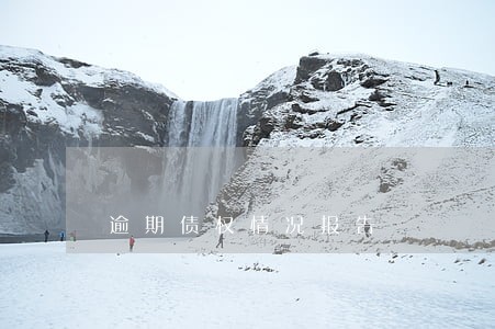 逾期债权情况报告 逾期债权情况报告