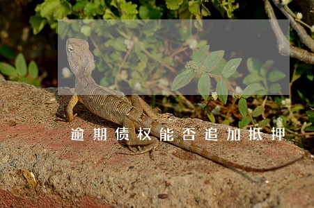 逾期债权能否追加抵押 逾期债权能否追加抵押