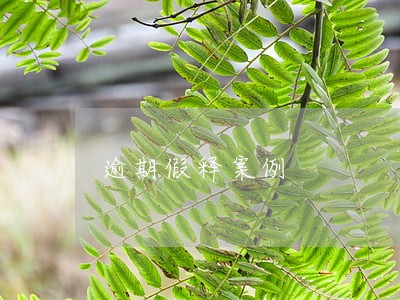 逾期假释案例 逾期假释案例