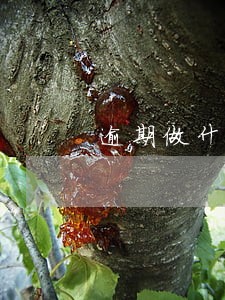 逾期做什么工作 逾期做什么工作