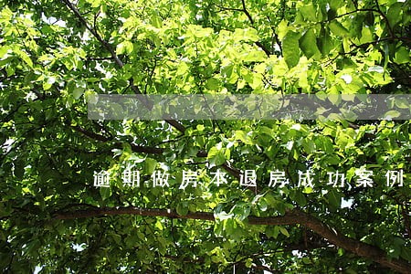 逾期做房本退房成功案例 逾期做房本退房成功案例