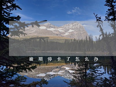 逾期停卡了怎么办 逾期停卡了怎么办