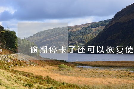 逾期停卡了还可以恢复使用吗 逾期停卡了还可以恢复使用吗