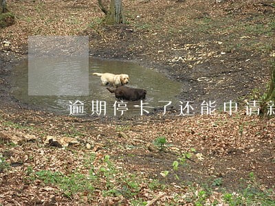 逾期停卡了还能申请新卡吗 逾期停卡了还能申请新卡吗