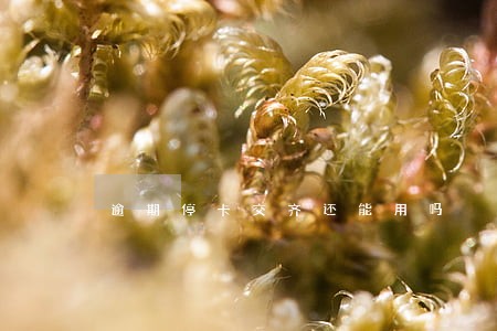 逾期停卡交齐还能用吗 逾期停卡交齐还能用吗