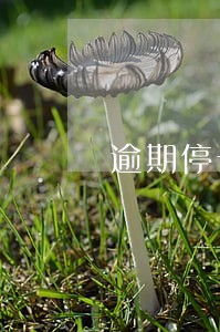 逾期停卡什么时候挂账 逾期停卡什么时候挂账