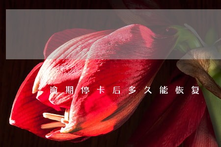 逾期停卡后多久能恢复 逾期停卡后多久能恢复