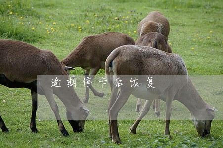 逾期停卡后恢复 逾期停卡后恢复