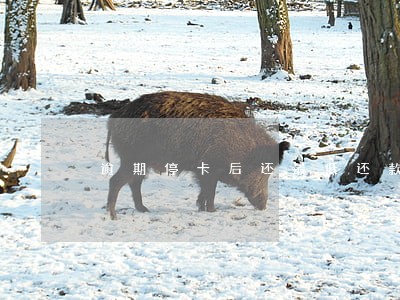 逾期停卡后还最低还款额 逾期停卡后还最低还款额