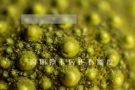 逾期停卡后还有额度