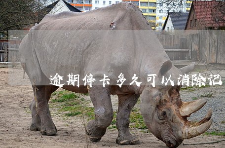 逾期停卡多久可以消除记录 逾期停卡多久可以消除记录