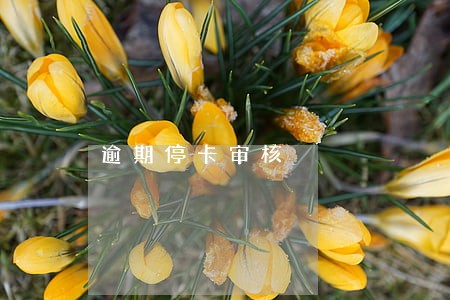 逾期停卡审核 逾期停卡审核