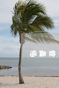逾期停卡客服说