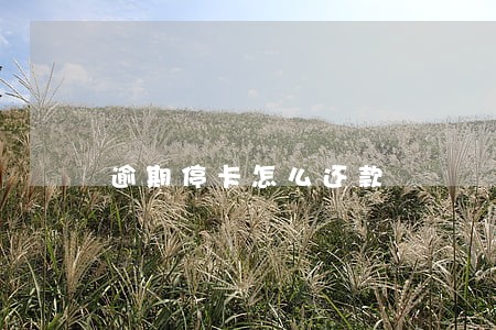 逾期停卡怎么还款 逾期停卡怎么还款