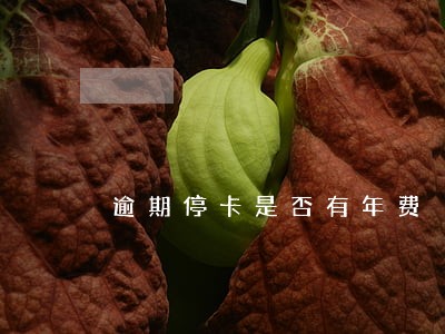 逾期停卡是否有年费 逾期停卡是否有年费