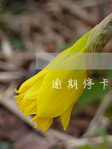 逾期停卡款已还清还能恢复吗 逾期停卡款已还清还能恢复吗