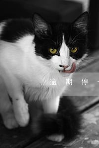 逾期停卡没还清 逾期停卡没还清