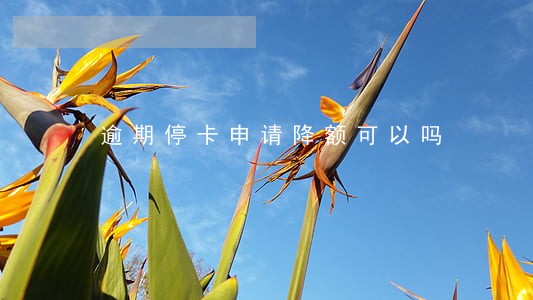 逾期停卡申请降额可以吗 逾期停卡申请降额可以吗
