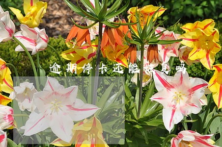 逾期停卡还能恢复吗 逾期停卡还能恢复吗
