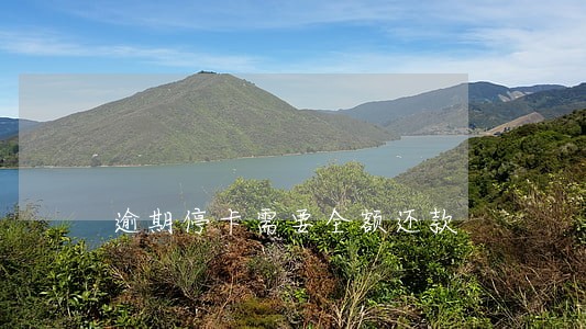 逾期停卡需要全额还款 逾期停卡需要全额还款