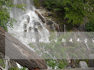 逾期停息分期是本金分期吗 逾期停息分期是本金分期吗
