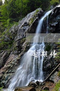 逾期停息展期怎么办理 逾期停息展期怎么办理