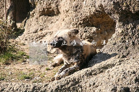 逾期停止催收两年 逾期停止催收两年