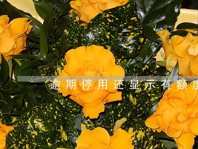 逾期停用还显示有额度