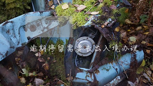 逾期停留需要去出入境办理