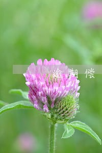 逾期偿还欠款什么意思 逾期偿还欠款什么意思