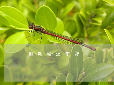 逾期偿还车贷