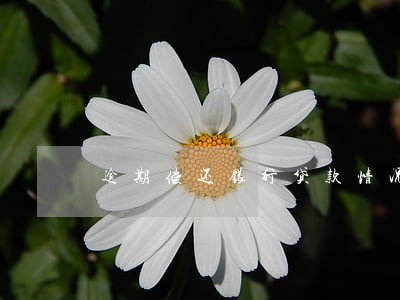 逾期偿还银行贷款情况说明 逾期偿还银行贷款情况说明