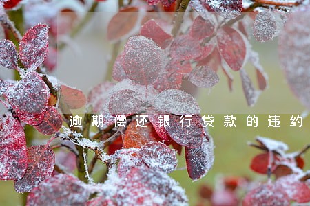 逾期偿还银行贷款的违约责任