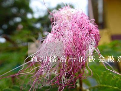 逾期储蓄卡的钱会被冻结吗 逾期储蓄卡的钱会被冻结吗