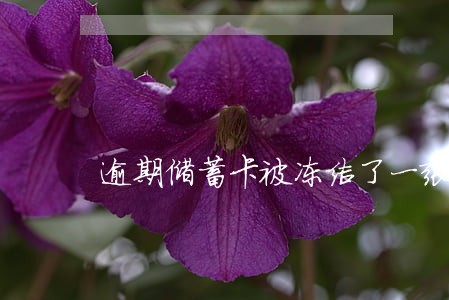 逾期储蓄卡被冻结了一张 逾期储蓄卡被冻结了一张