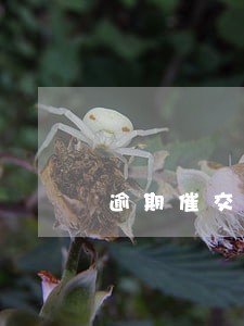 逾期催交货通知 逾期催交货通知