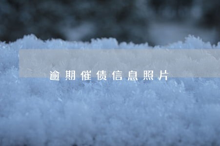 逾期催债信息照片 逾期催债信息照片