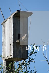 逾期催债爆通讯录违法吗 逾期催债爆通讯录违法吗