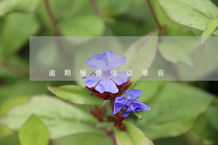 逾期催债电话录音 逾期催债电话录音