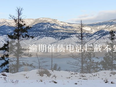 逾期催债电话拦截不到么 逾期催债电话拦截不到么