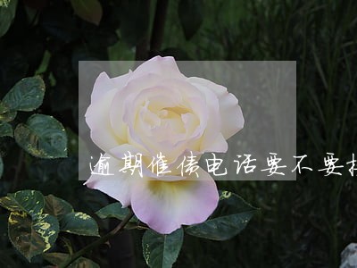 逾期催债电话要不要接 逾期催债电话要不要接